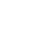 stylized illustration two flowers. one flower is missing its bud.